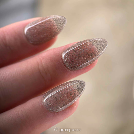 Stardust I